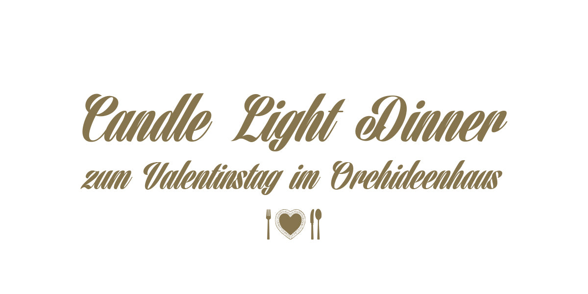 Candle Light Dinner 13. & 14. Februar 2026
