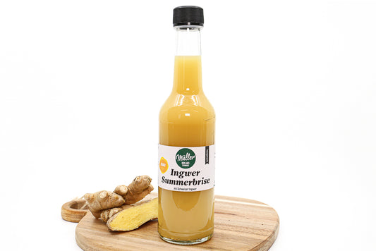 Ingwer Summerbrise