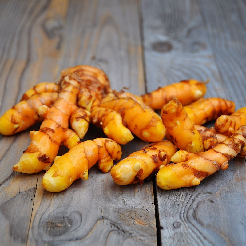 Frischer Bio-Kurkuma