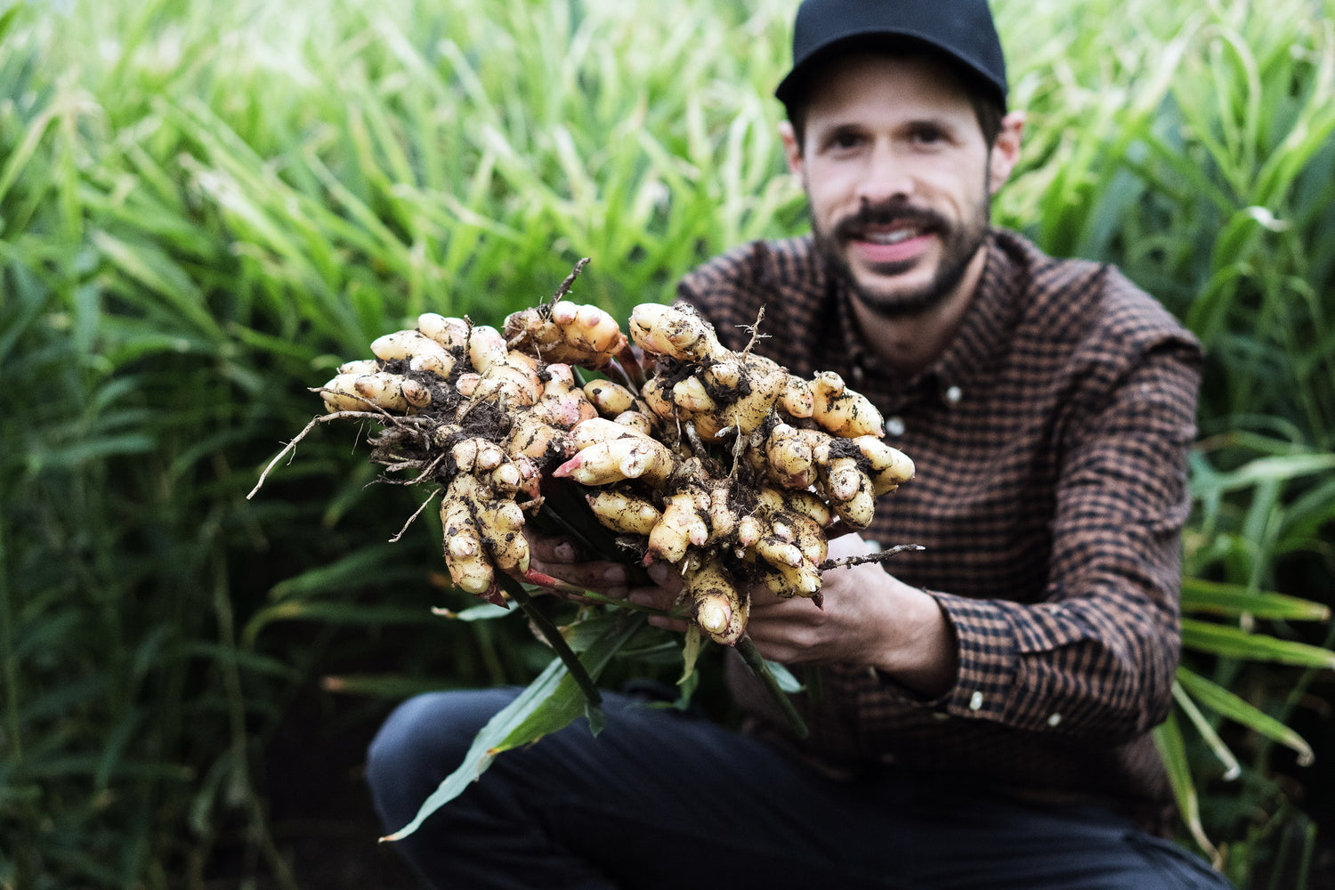 Samuel von Müller Steinmaur mit Ingwer in der Hand