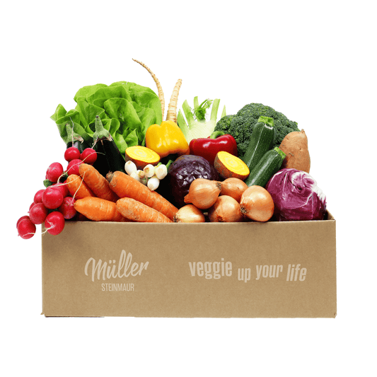 Bio Gemüse Box