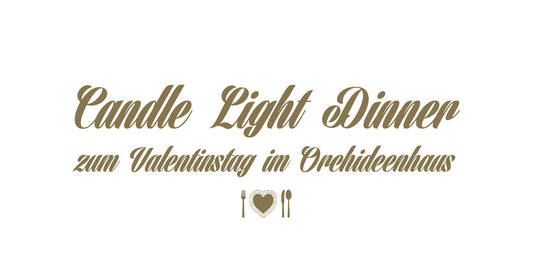 Candle Light Dinner 14. & 15. Februar 2025